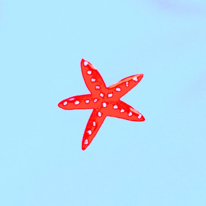 Short de bain enfant - Le petit Etoilé