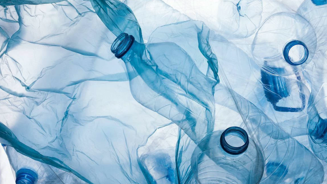Des océans au maillot de bain : le parcours du plastique recyclé